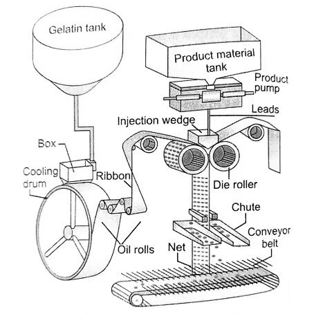 Parts of a V Blender: A Comprehensive Guide - IPharmachine